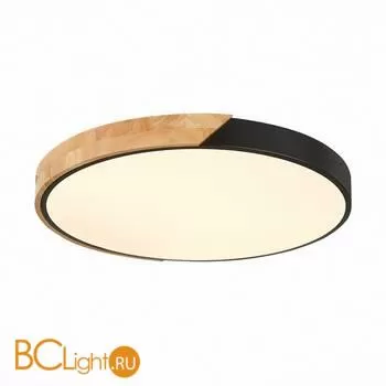 Потолочный светильник Evoluce Festa SLE200942-01 - Фото 1