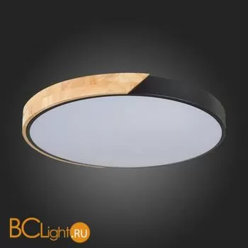 Потолочный светильник Evoluce Festa SLE200942-01 - Фото 10