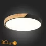 Потолочный светильник Evoluce Festa SLE200942-01