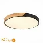 Потолочный светильник Evoluce Festa SLE200942-01 - Фото 1