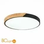 Потолочный светильник Evoluce Festa SLE200942-01 - Фото 2