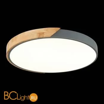 Потолочный светильник Evoluce Festa SLE200972-01