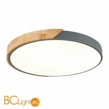 Потолочный светильник Evoluce Festa SLE200972-01 - Фото 0