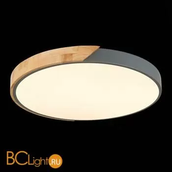 Потолочный светильник Evoluce Festa SLE200972-01 - Фото 4