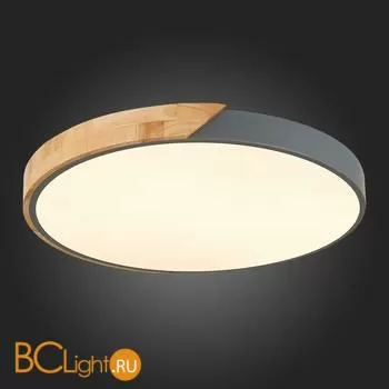 Потолочный светильник Evoluce Festa SLE200972-01 - Фото 8