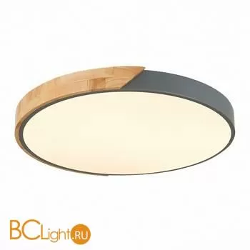 Потолочный светильник Evoluce Festa SLE200972-01 - Фото 1