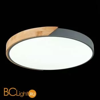 Потолочный светильник Evoluce Festa SLE200972-01 - Фото 5