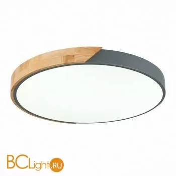 Потолочный светильник Evoluce Festa SLE200972-01 - Фото 2