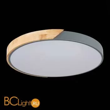 Потолочный светильник Evoluce Festa SLE200972-01 - Фото 6