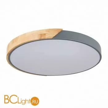 Потолочный светильник Evoluce Festa SLE200972-01 - Фото 3