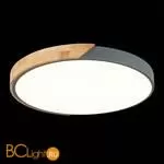 Потолочный светильник Evoluce Festa SLE200972-01