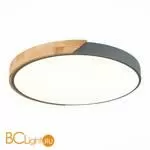 Потолочный светильник Evoluce Festa SLE200972-01 - Фото 0