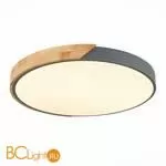 Потолочный светильник Evoluce Festa SLE200972-01 - Фото 1