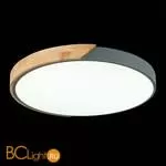 Потолочный светильник Evoluce Festa SLE200972-01 - Фото 5