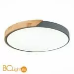 Потолочный светильник Evoluce Festa SLE200972-01 - Фото 2