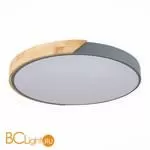 Потолочный светильник Evoluce Festa SLE200972-01 - Фото 3