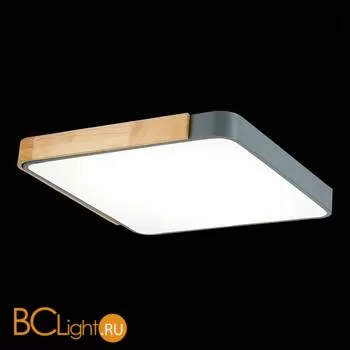 Потолочный светильник Evoluce Festa SLE201272-01