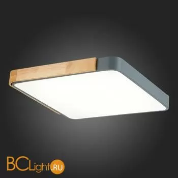 Потолочный светильник Evoluce Festa SLE201272-01 - Фото 7