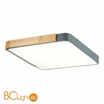 Потолочный светильник Evoluce Festa SLE201272-01 - Фото 0