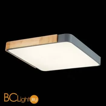 Потолочный светильник Evoluce Festa SLE201272-01 - Фото 4