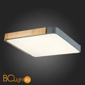 Потолочный светильник Evoluce Festa SLE201272-01 - Фото 8