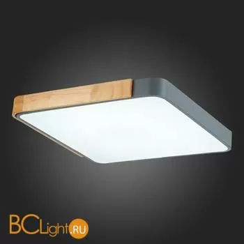 Потолочный светильник Evoluce Festa SLE201272-01 - Фото 9