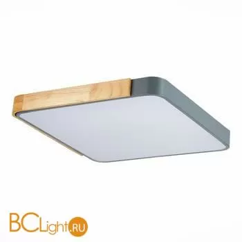 Потолочный светильник Evoluce Festa SLE201272-01 - Фото 3