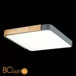 Потолочный светильник Evoluce Festa SLE201272-01