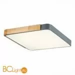 Потолочный светильник Evoluce Festa SLE201272-01 - Фото 1