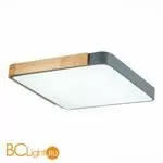 Потолочный светильник Evoluce Festa SLE201272-01 - Фото 2