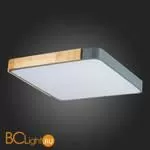 Потолочный светильник Evoluce Festa SLE201272-01 - Фото 10