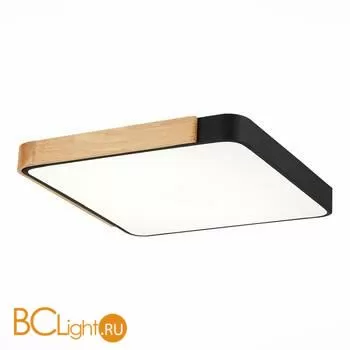 Потолочный светильник Evoluce Festa SLE201242-01