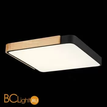 Потолочный светильник Evoluce Festa SLE201242-01 - Фото 4