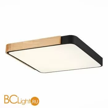 Потолочный светильник Evoluce Festa SLE201242-01 - Фото 0