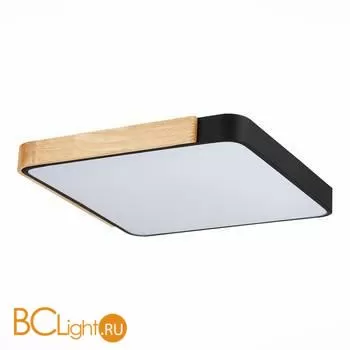 Потолочный светильник Evoluce Festa SLE201242-01 - Фото 2