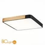 Потолочный светильник Evoluce Festa SLE201242-01