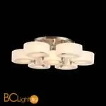 Люстра Evoluce Foresta SL483.352.07 - Фото 5