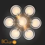 Люстра Evoluce Foresta SL483.352.07 - Фото 10