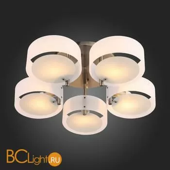 Люстра Evoluce Foresta SL483.352.05 - Фото 7