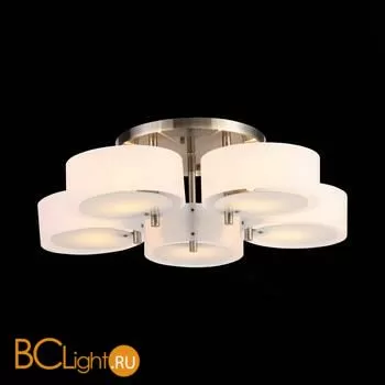 Люстра Evoluce Foresta SL483.352.05 - Фото 4