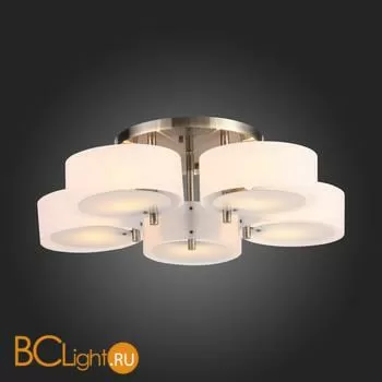 Люстра Evoluce Foresta SL483.352.05 - Фото 8