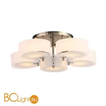 Люстра Evoluce Foresta SL483.352.05 - Фото 1