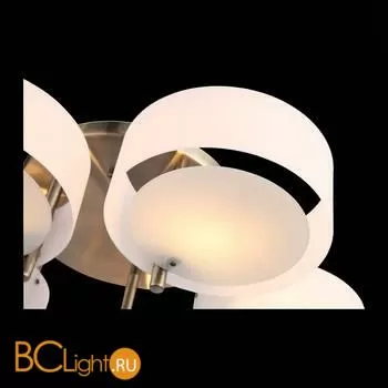 Люстра Evoluce Foresta SL483.352.05 - Фото 5