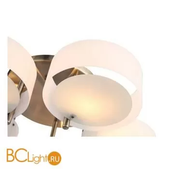 Люстра Evoluce Foresta SL483.352.05 - Фото 2