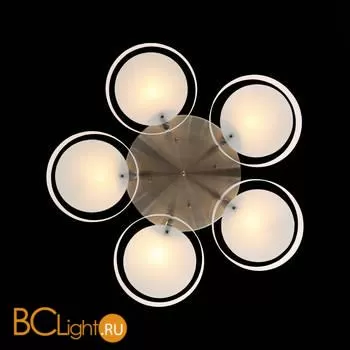 Люстра Evoluce Foresta SL483.352.05 - Фото 6