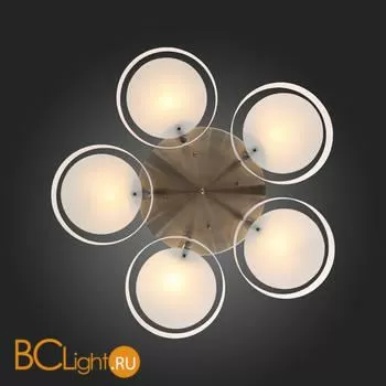 Люстра Evoluce Foresta SL483.352.05 - Фото 10