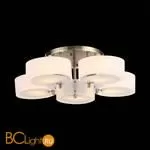 Люстра Evoluce Foresta SL483.352.05 - Фото 4