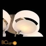 Люстра Evoluce Foresta SL483.352.05 - Фото 5