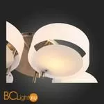 Люстра Evoluce Foresta SL483.352.05 - Фото 9