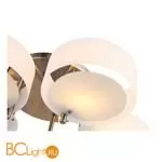 Люстра Evoluce Foresta SL483.352.05 - Фото 2